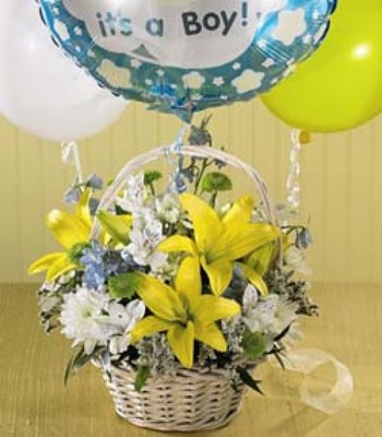 Baby Boy Basket from Anthony's Florist in Laurel, MS
