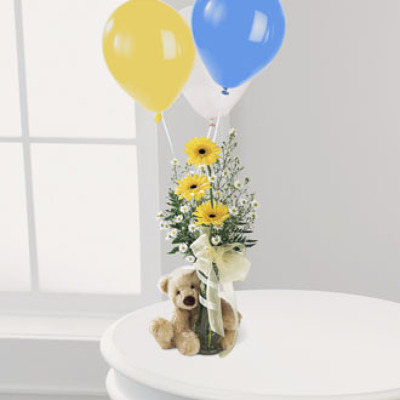 Gerbera, Teddy & Balloons from Anthony's Florist in Laurel, MS