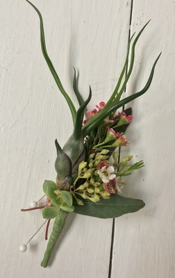 Succulent and Air plant Boutineer from Anthony's Florist in Laurel, MS