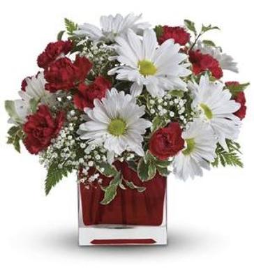 Red and White Delight from Anthony's Florist in Laurel, MS
