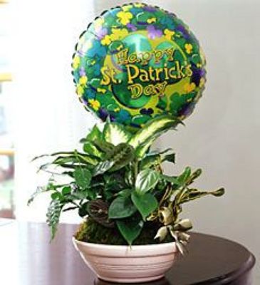 St Patricks Day Dish Garden from Anthony's Florist in Laurel, MS
